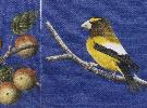 Birds on quilt squares