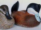 Ruddy duck hen and drake carving